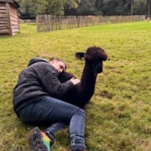 Profielfoto van Unique Individuele Begeleiding/Zorgboerderij